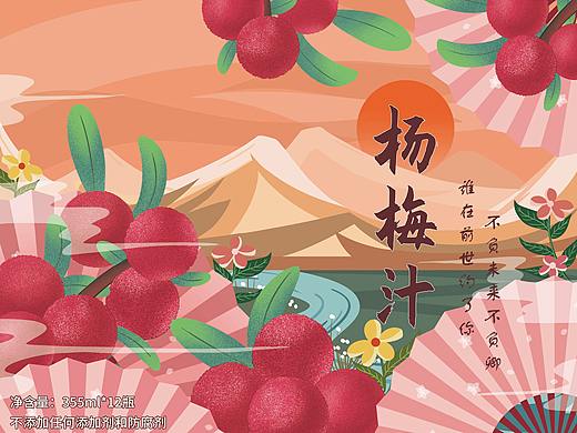 杨梅汁瓶贴及礼盒包装设计鉴赏