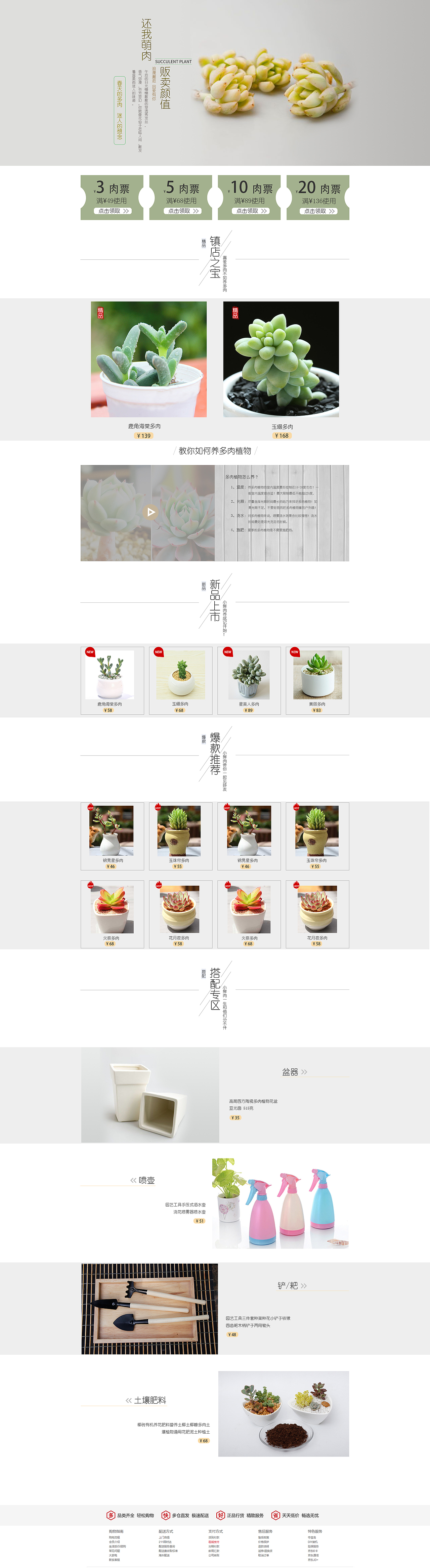 多肉（图ZOTE4MTQ1MTI=） - 运营设计 - 站酷设计师圆柚原创素材 - 站酷ZCOOL