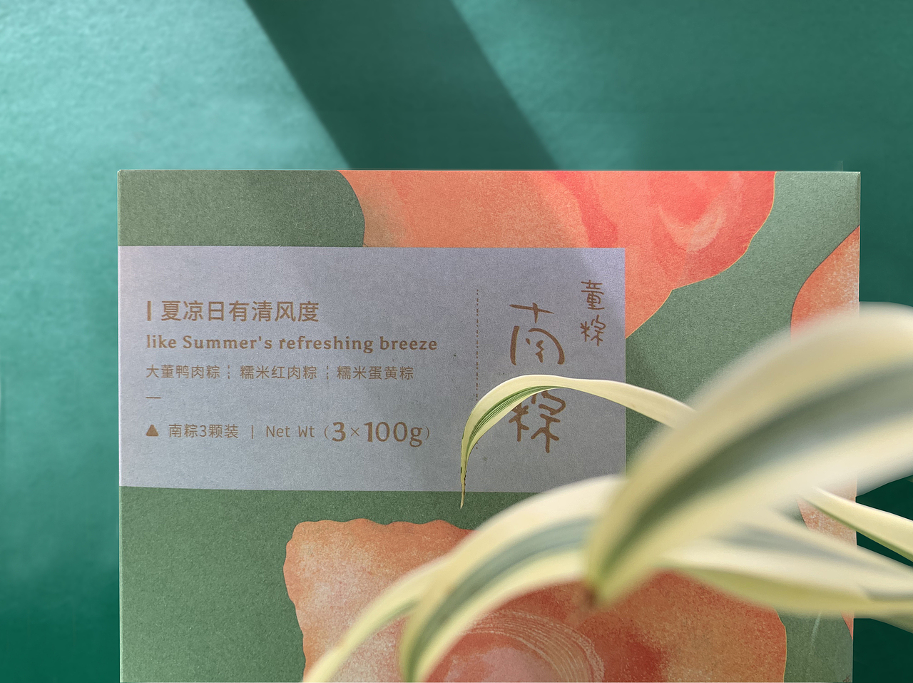 端午节安康 | 董到家端午节插画包装（图ZMTYxNzU2Mjg0） - 商业插画 - 站酷设计师Runn_L原创素材 - 站酷ZCOOL