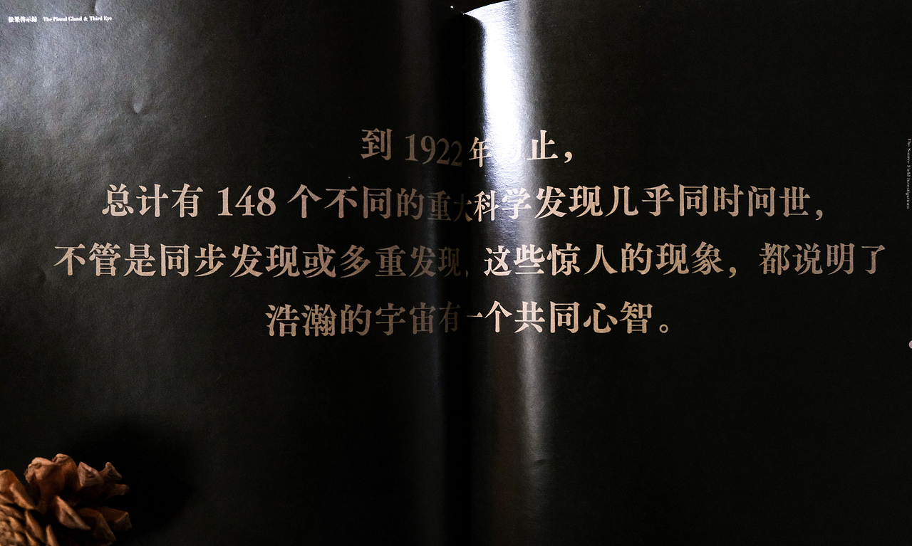 「松果启示录」书籍装帧设计 | 节选自《源场》（图ZMjQ3NDU5NzY0） - 书籍/画册 - 站酷设计师龍柏原创素材 - 站酷ZCOOL