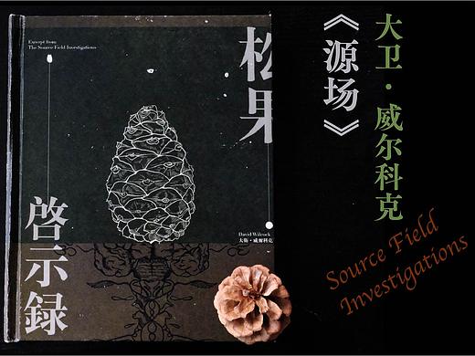「松果启示录」书籍装帧设计 | 节选自《源场》（个人主页-ZNTE0NjYzNjQ=） - 书籍/画册 - 站酷设计师龍柏原创素材 - 站酷ZCOOL