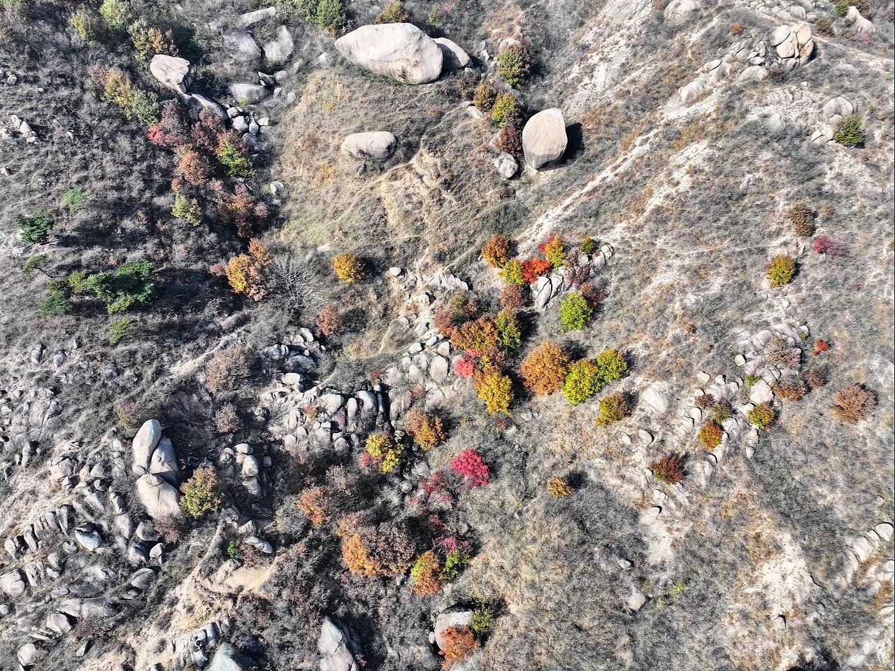 红叶美如画（图ZMzU3NzA1OTAw） - 风光摄影 - 站酷设计师我的瞬间艺术原创素材 - 站酷ZCOOL