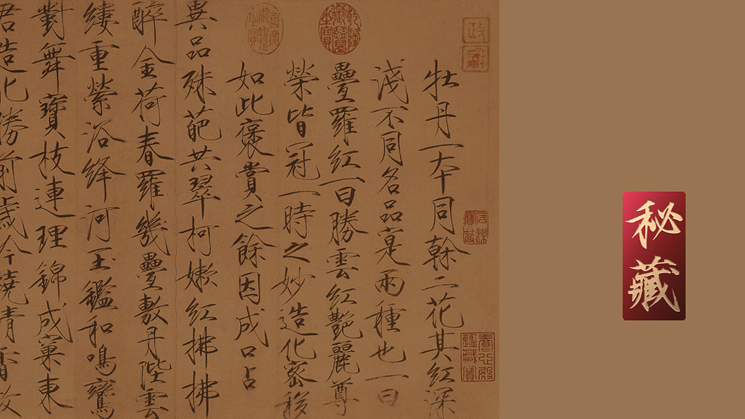 九和创意 | 宋河粮液 · 秘藏酒(图ZMjc0OTgxMTg0) - 包装 - 站酷设计师九和包装设计原创素材 - 站酷ZCOOL