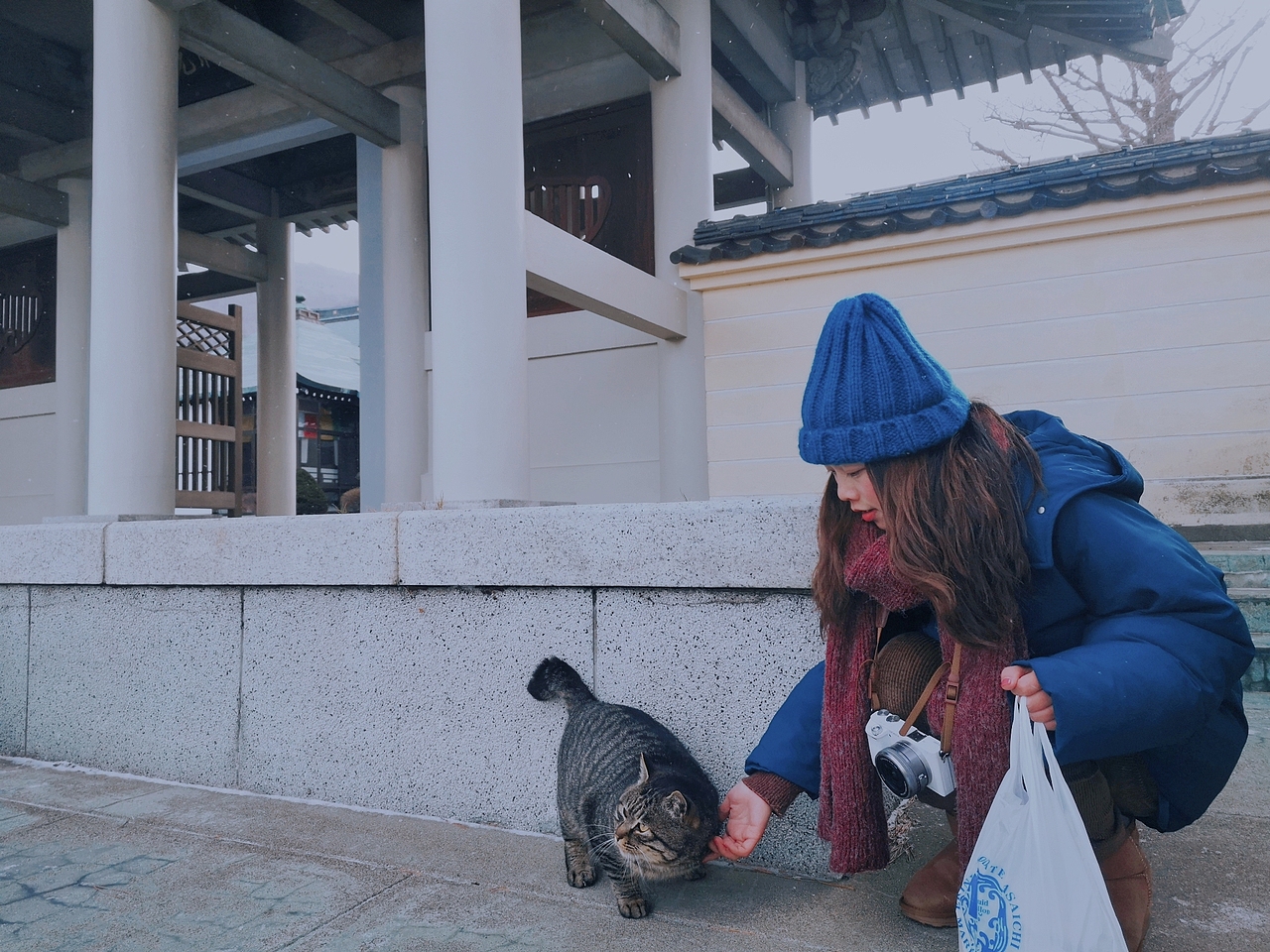 【北海道】函馆是个文艺而小清新的城市呀（图ZMTk2OTY3ODA4） - 风光摄影 - 站酷设计师keke奇遇记原创素材 - 站酷ZCOOL
