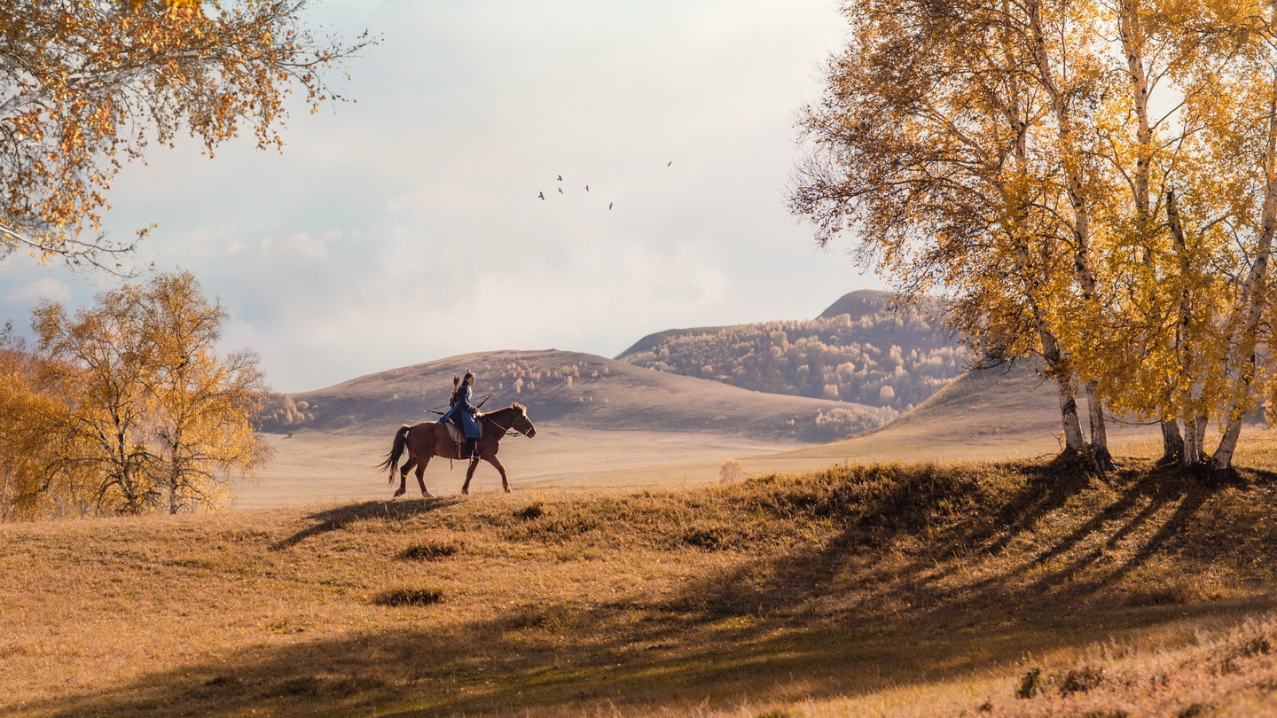 蓦兰的个人主页（封面预览） - 主页封面设置 - 站酷设计师蓦兰原创素材 - 站酷ZCOOL