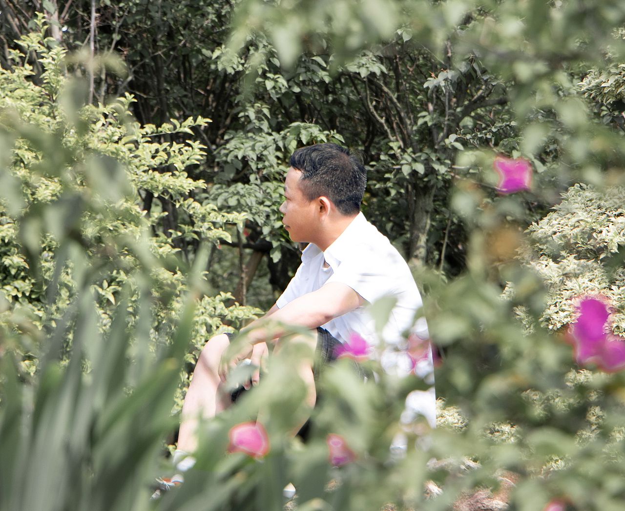 #烈日下的兄妹#