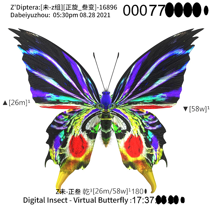 用互联之网捕捉虚拟蝴蝶