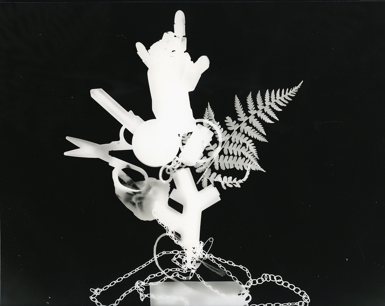 Photogram, let's have fun