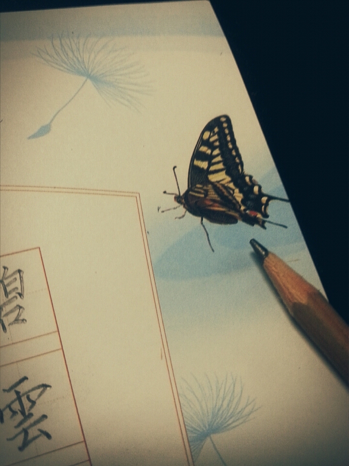 书法~蘇幕遮-怀旧