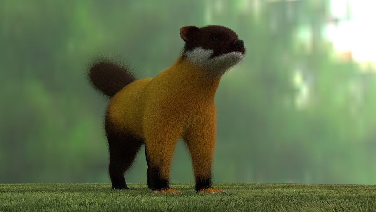 珍稀野生动物 黄喉貂（图ZMTEzNzQzMzMy） - 人物/生物 - 站酷设计师粗眉萝卜头原创素材 - 站酷ZCOOL