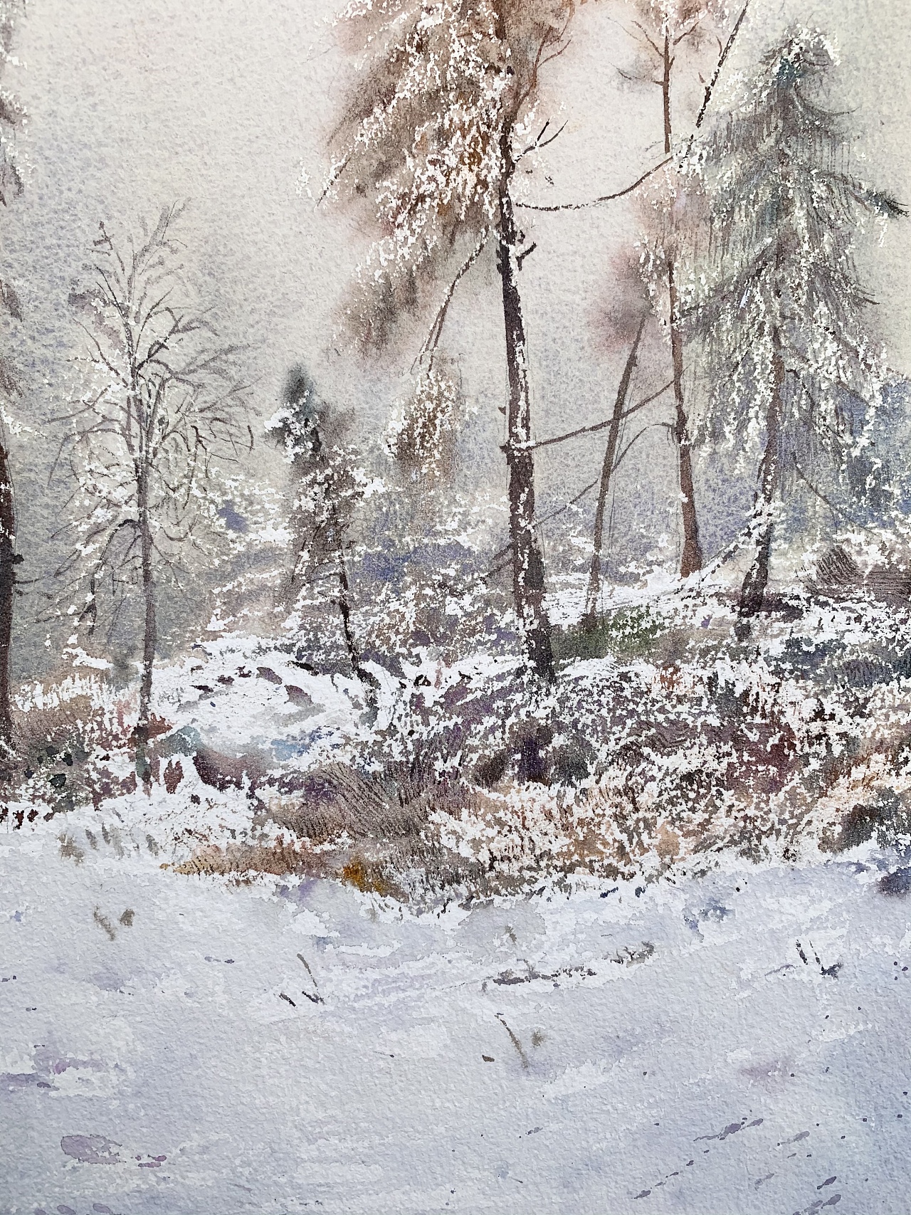 《雪中树》|纯艺术|绘画|菜蔡水彩 - 原创作品 - 站酷 (zcool)