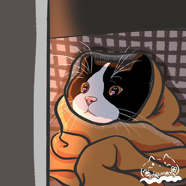 猫咪（图ZMzI0NDIyMjI4） - 创作习作 - 站酷设计师EeemaQT原创素材 - 站酷ZCOOL