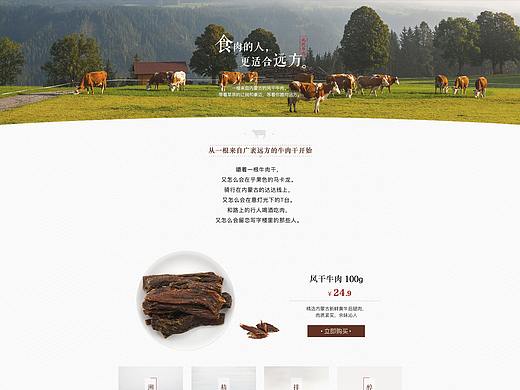 牛肉干首页