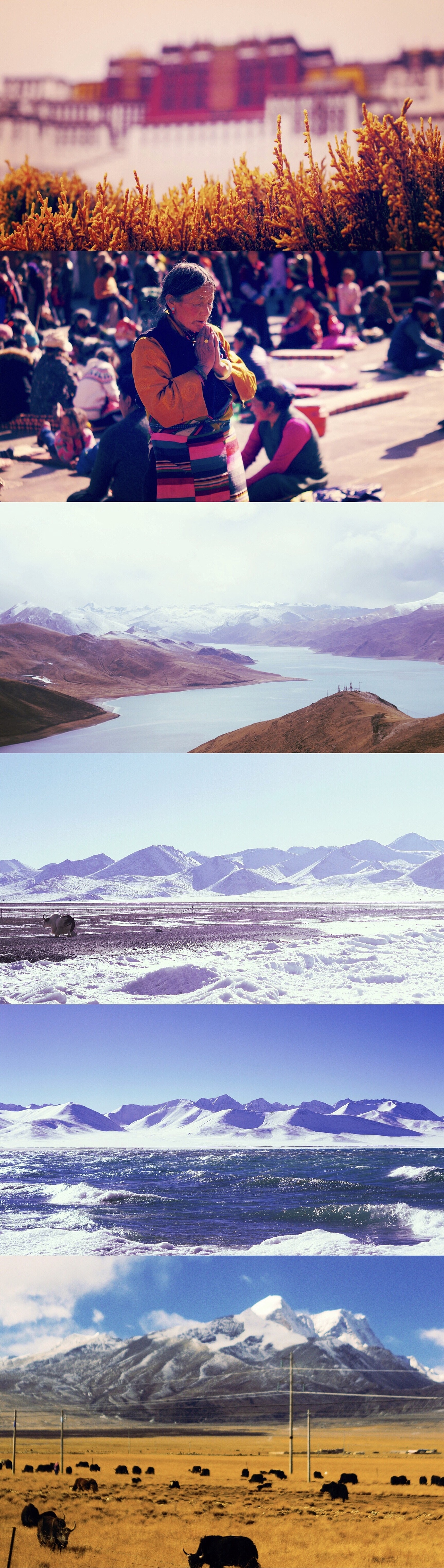 定焦手动镜头爱好者 / 往期回顾