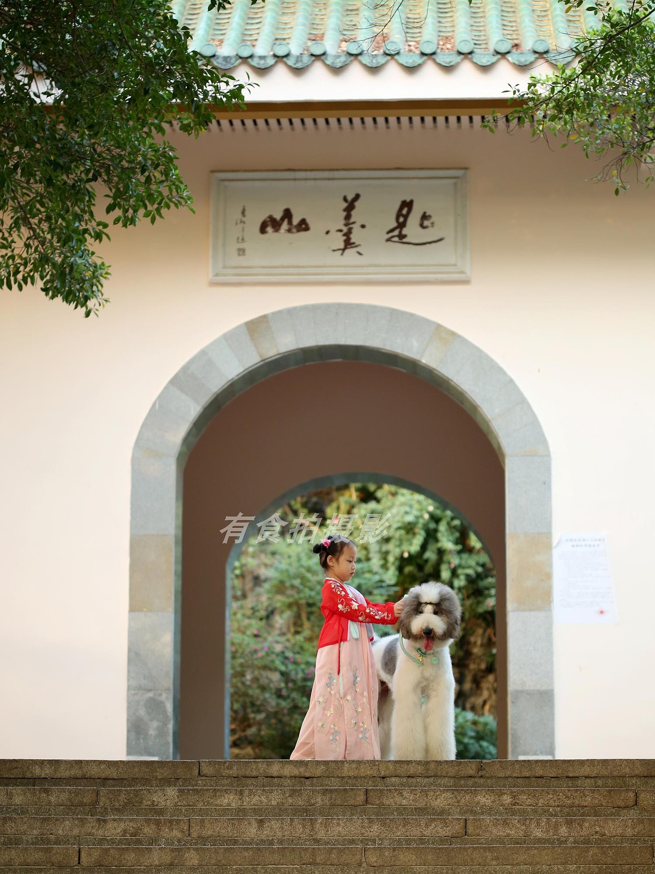 深圳宠物家庭纪实摄影--狗狗拍摄