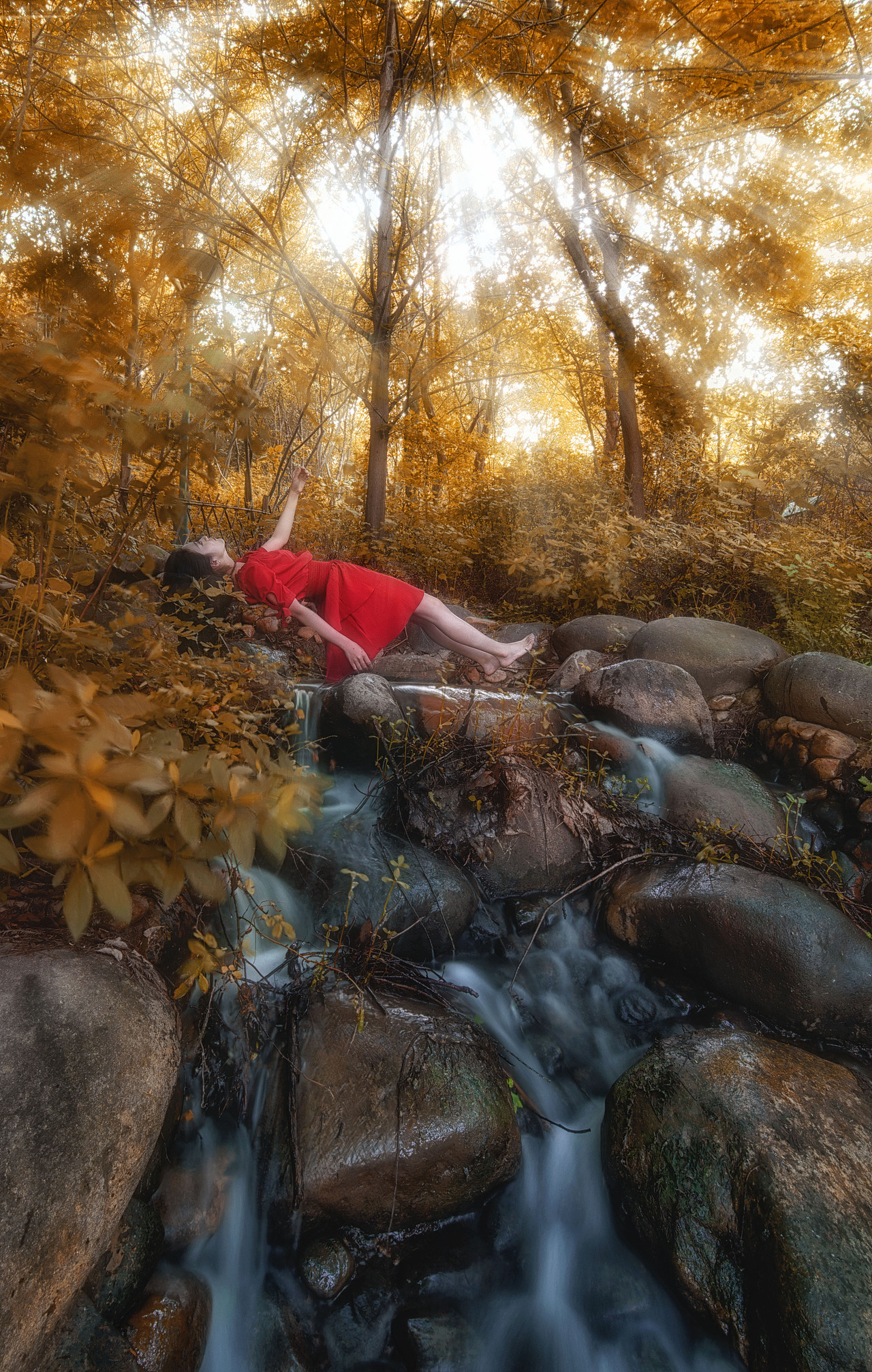 人像组秋梦1群zachary南京