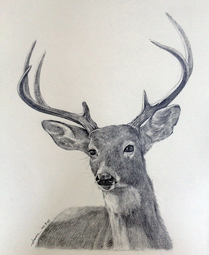 《无法舍弃的》