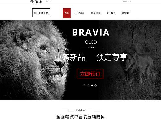 相机（个人主页-ZMzk4MzEyMTY=） - 企业官网 - 站酷设计师好烦大原创素材 - 站酷ZCOOL