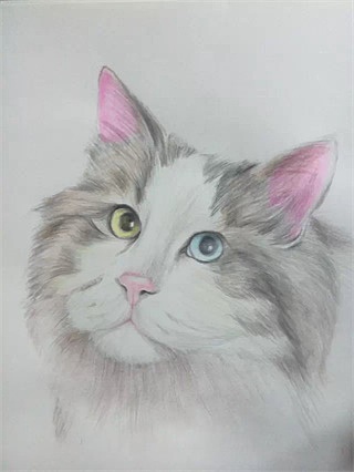 随笔（图ZNTUzNjkwNDg=） - 艺术插画 - 站酷设计师帅昂今天画画了吗原创素材 - 站酷ZCOOL