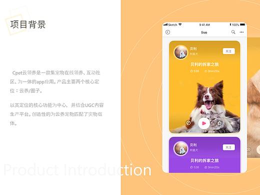 Cpet宠物云领养app
