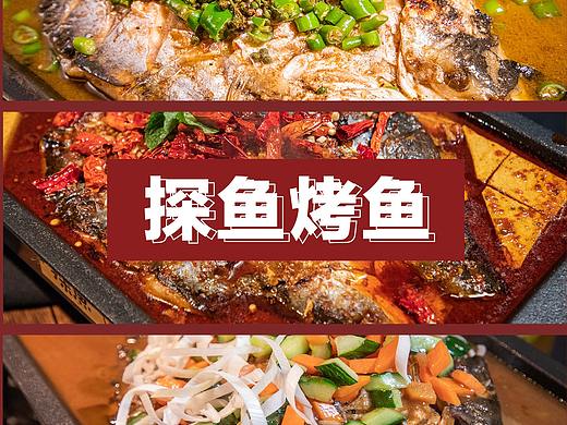 《探鱼》——丰鸽摄影
