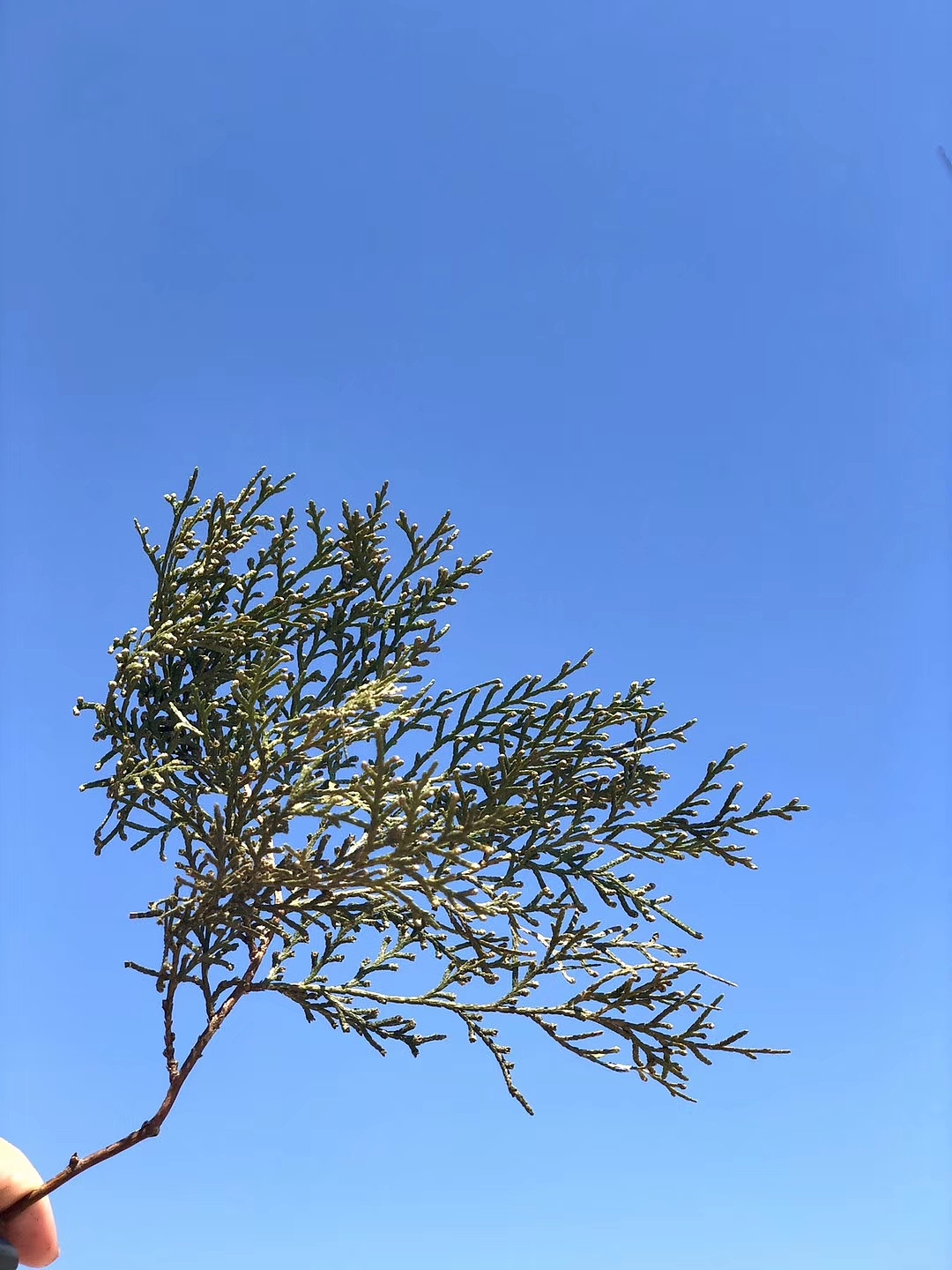 今天的 天（图ZMTk3NzI0OTQw） - 风光摄影 - 站酷设计师命之奴原创素材 - 站酷ZCOOL