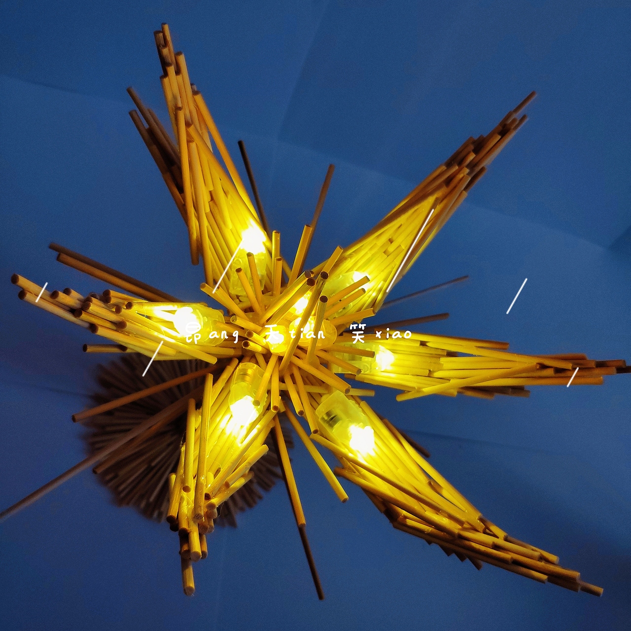 立体构成仿生设计莲花灯