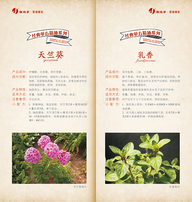 养生小册子 画册 中国风 产品说明 产品手册 古典画册