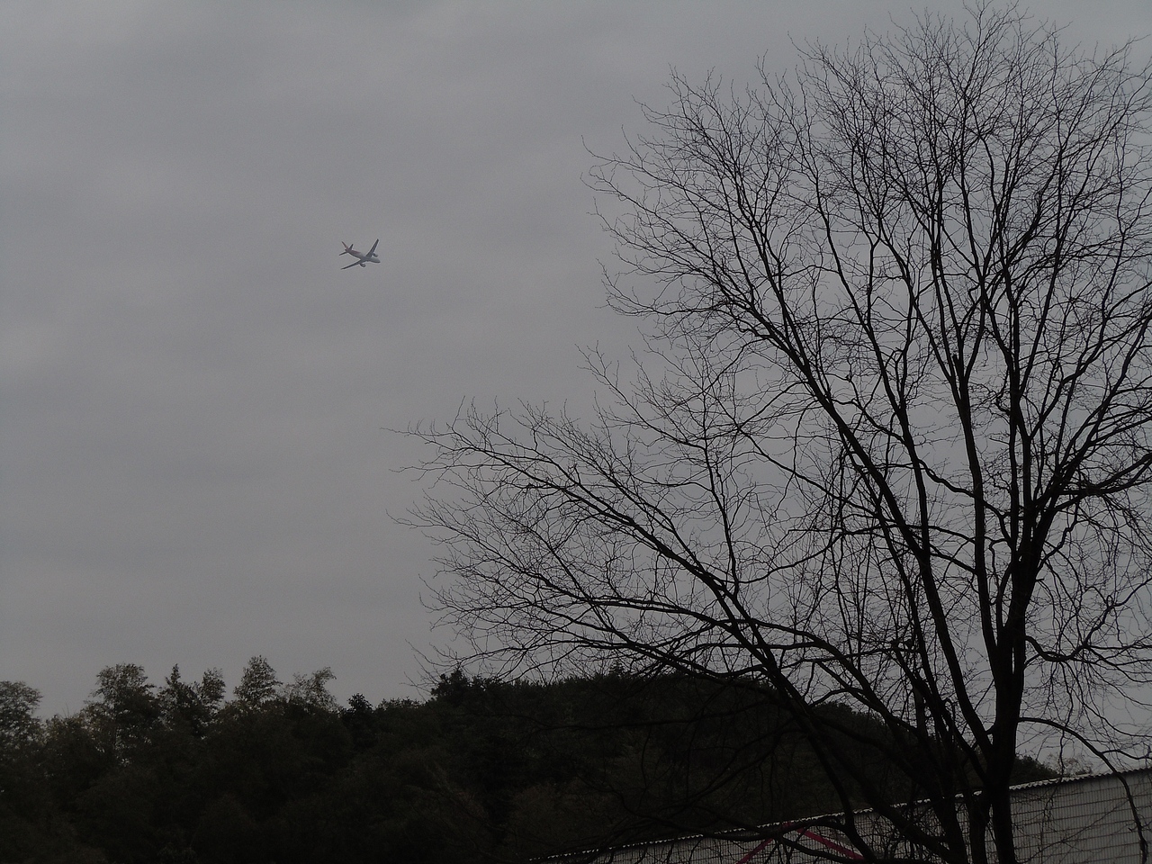 大学摄影随手拍拍（图ZMjUwOTI5NDg=） - 风光摄影 - 站酷设计师传媒摄影人原创素材 - 站酷ZCOOL