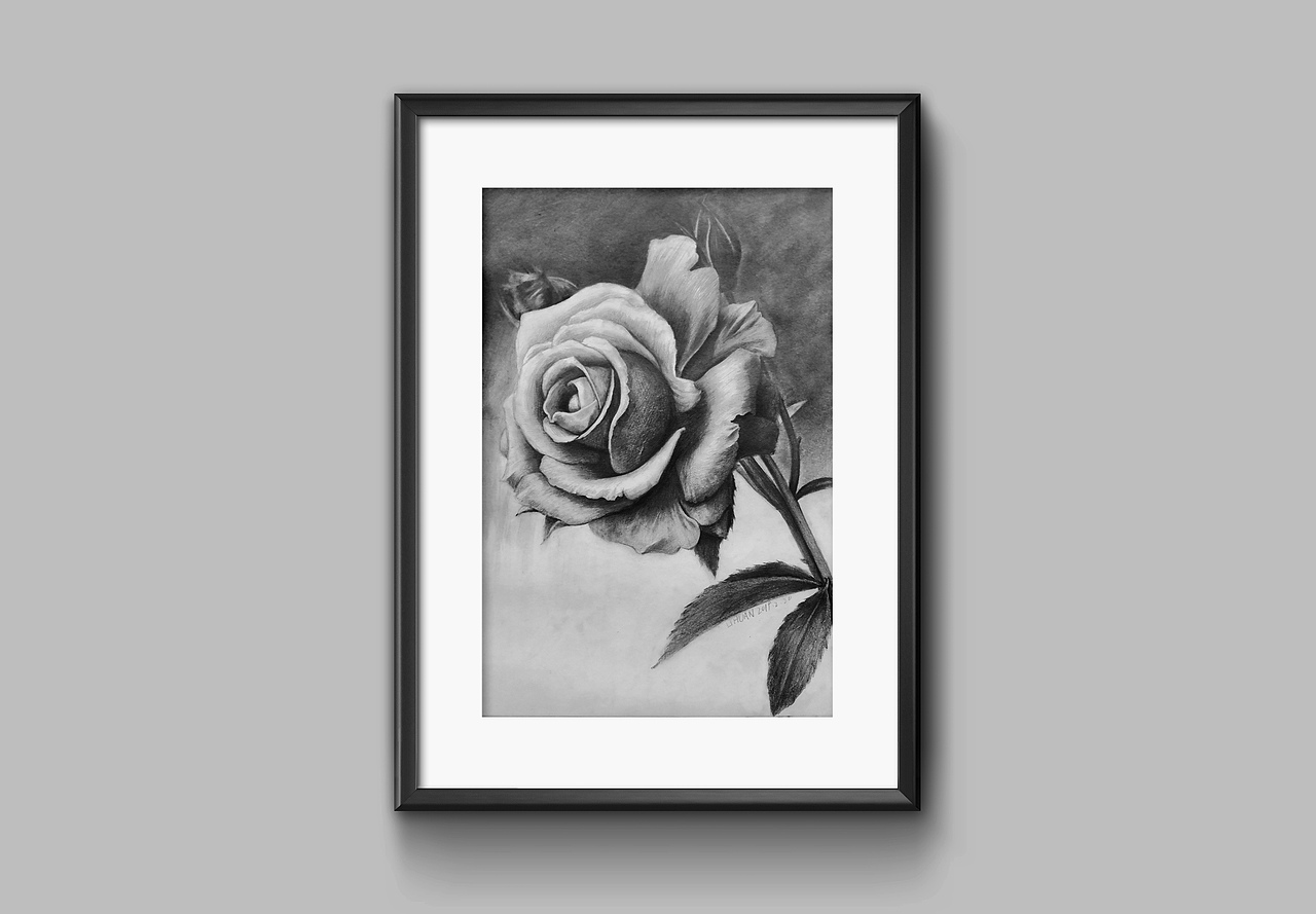 素描练习（图ZMTQ5MTU5NzEy） - 绘画 - 站酷设计师小欢哥原创素材 - 站酷ZCOOL