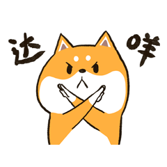 二哈萌柴第五季
