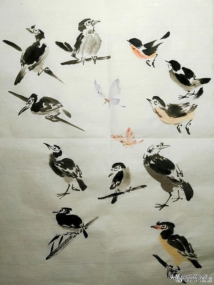 写意花鸟鱼虫练习