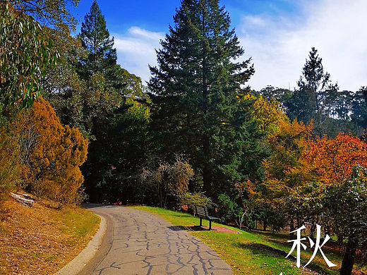 枫叶🍁景（个人主页-ZNjQwMTg4MjQ=） - 风光摄影 - 站酷设计师Helen在南澳原创素材 - 站酷ZCOOL