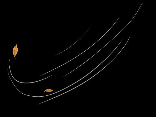 5G科技海报样机