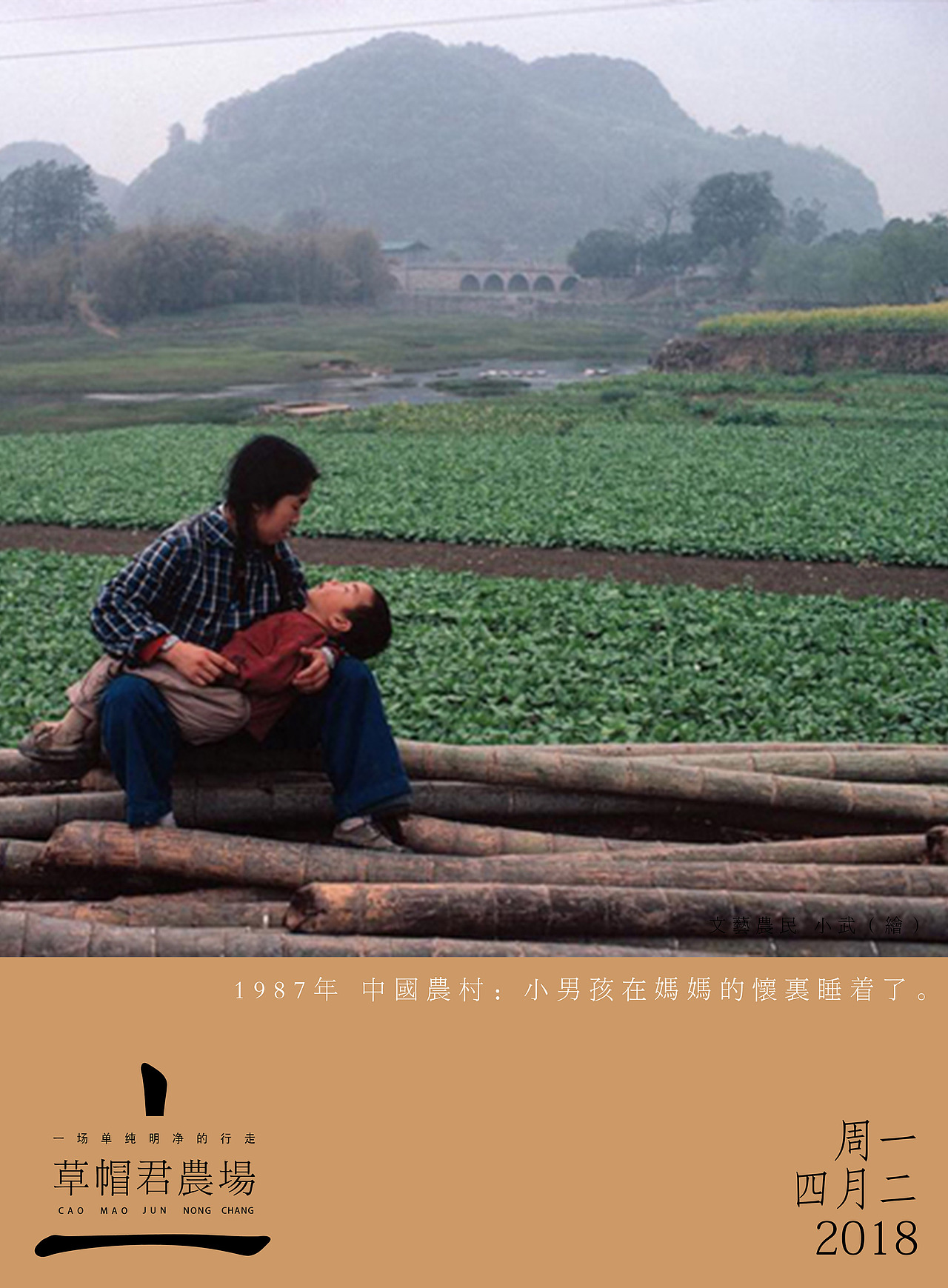 塑造文化感|草帽农场品牌设计（图ZMTA5NjEyMTQ0） - 品牌 - 站酷设计师文艺农小武原创素材 - 站酷ZCOOL