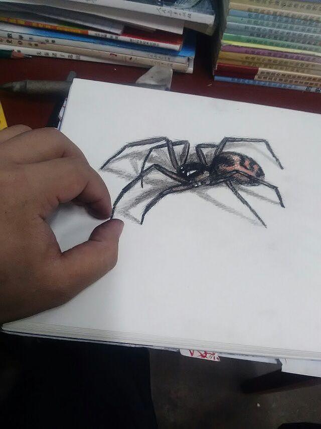 彩铅动物习作《动物》