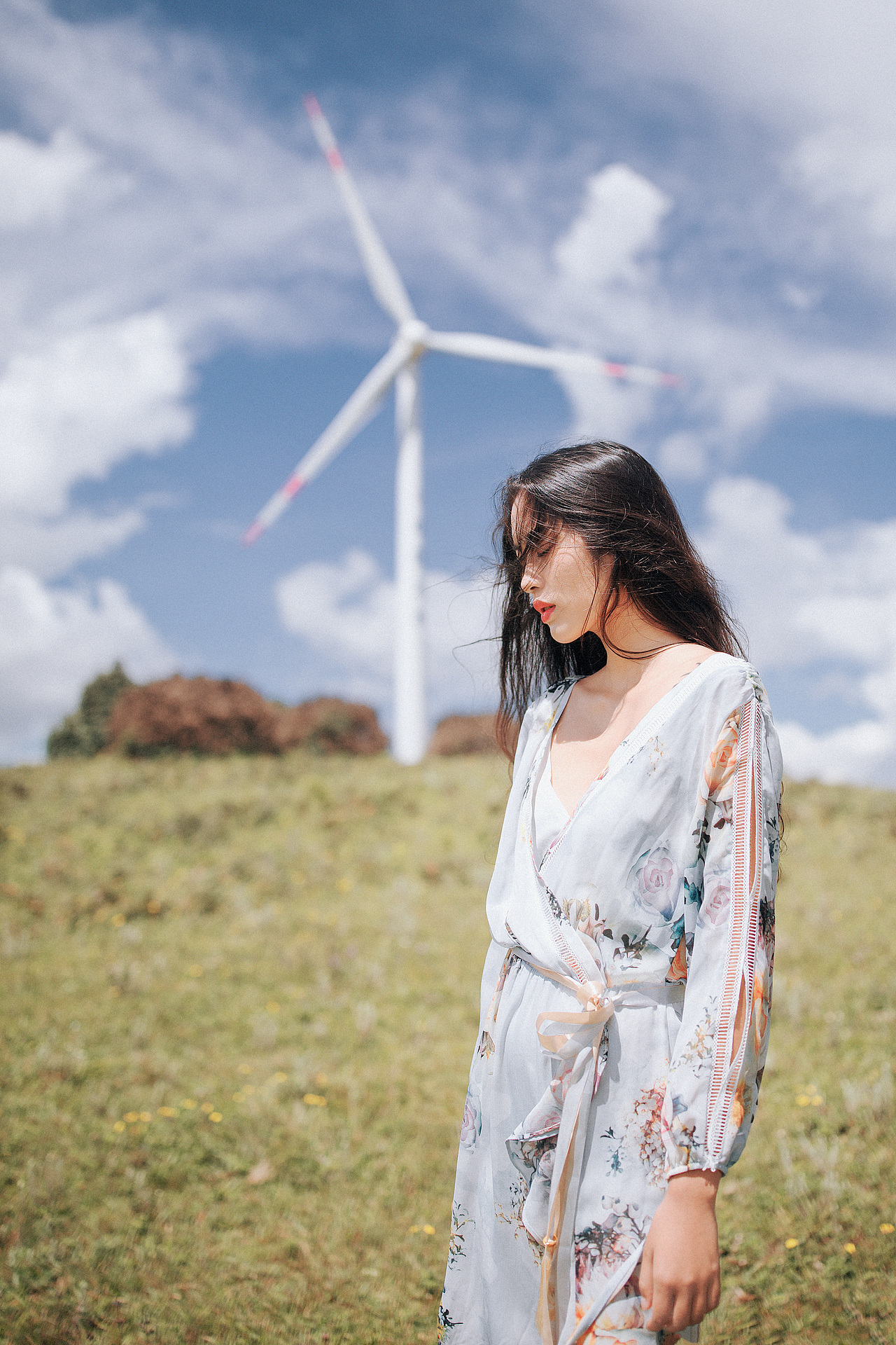 旋覆花盛开的山坡