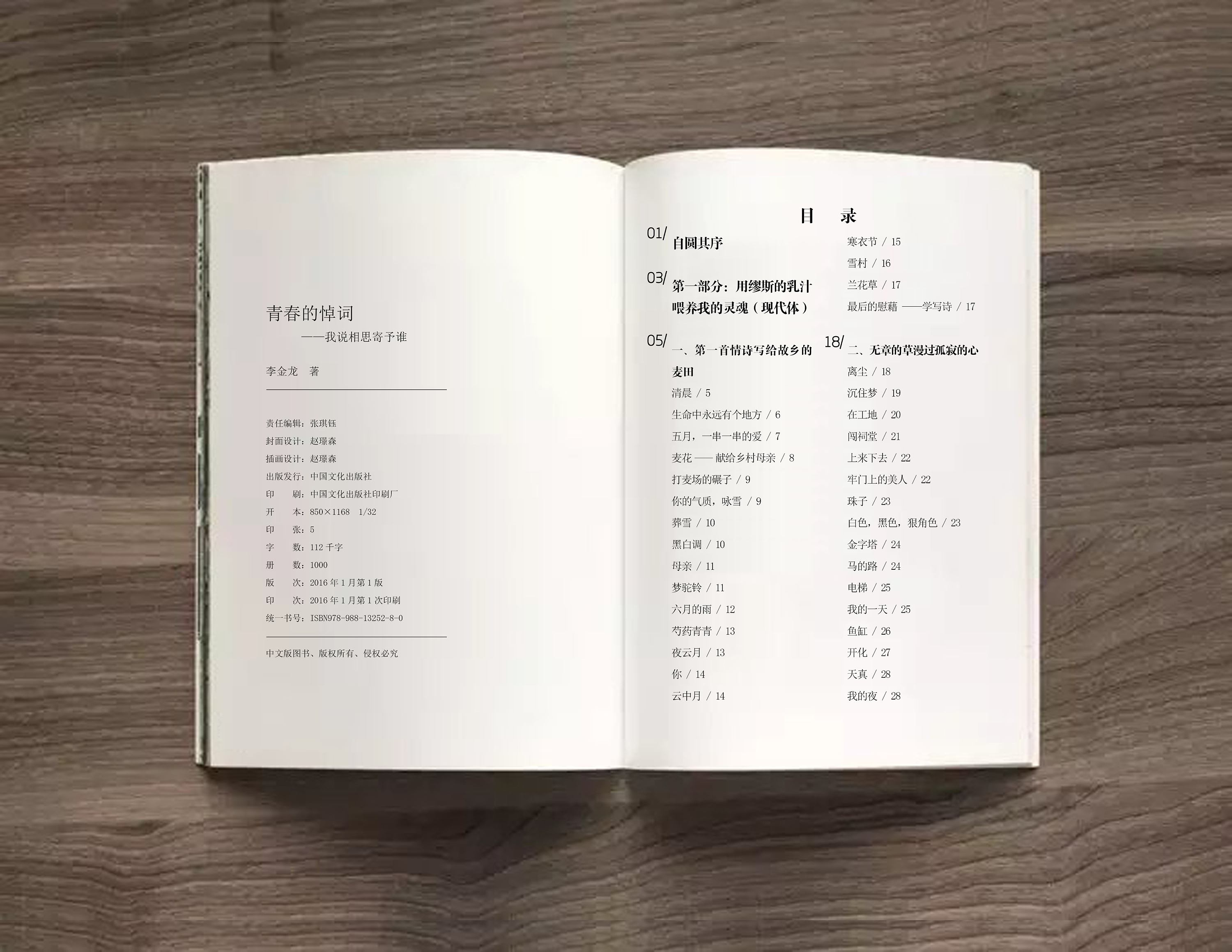 个人诗集《青春的悼词》设计