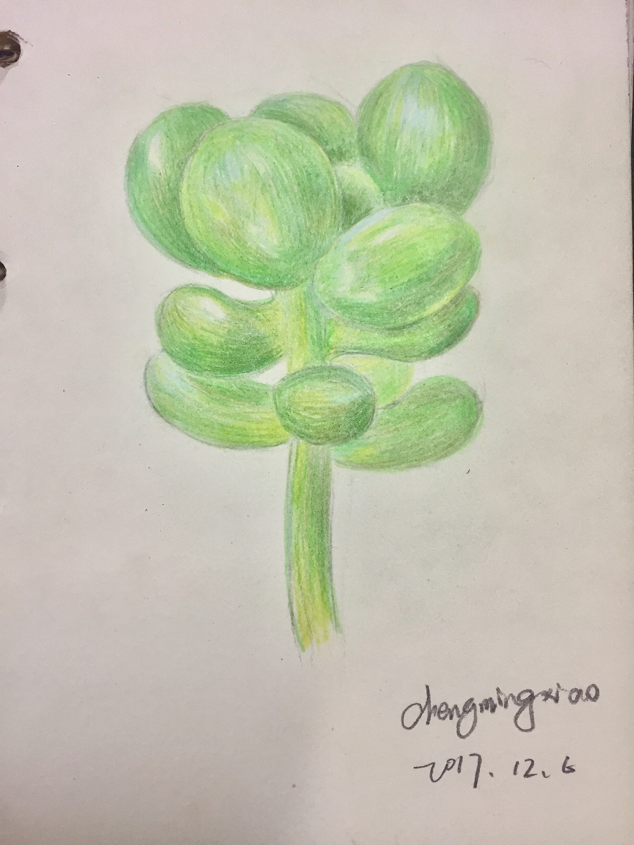 杂七杂八的手绘二三事:art: