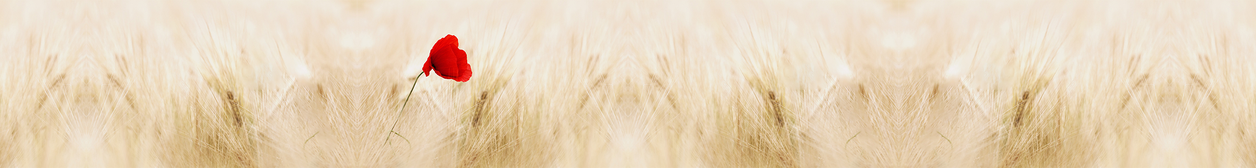 艾洛侠的个人主页（封面预览） - 主页封面设置 - 站酷设计师艾洛侠原创素材 - 站酷ZCOOL