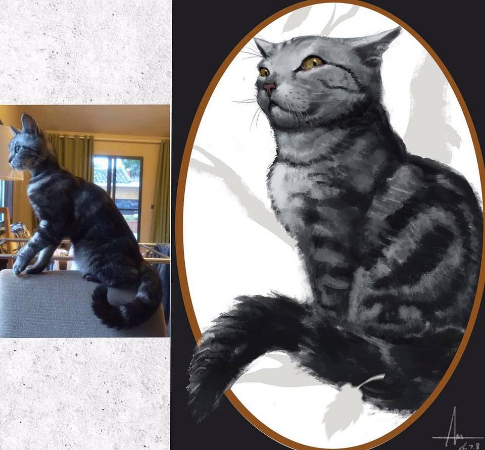 猫奴对画猫的理解（图ZNTg4ODExNjQ=） - 创作习作 - 站酷设计师暖暖社社长原创素材 - 站酷ZCOOL