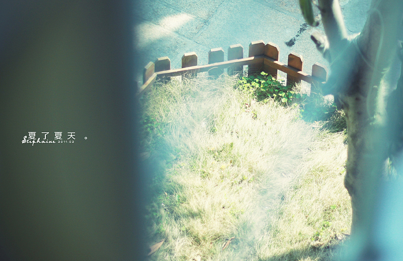 在热带的小岛上