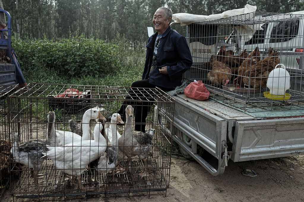 【最后的‘“老派”集市——倴城集】