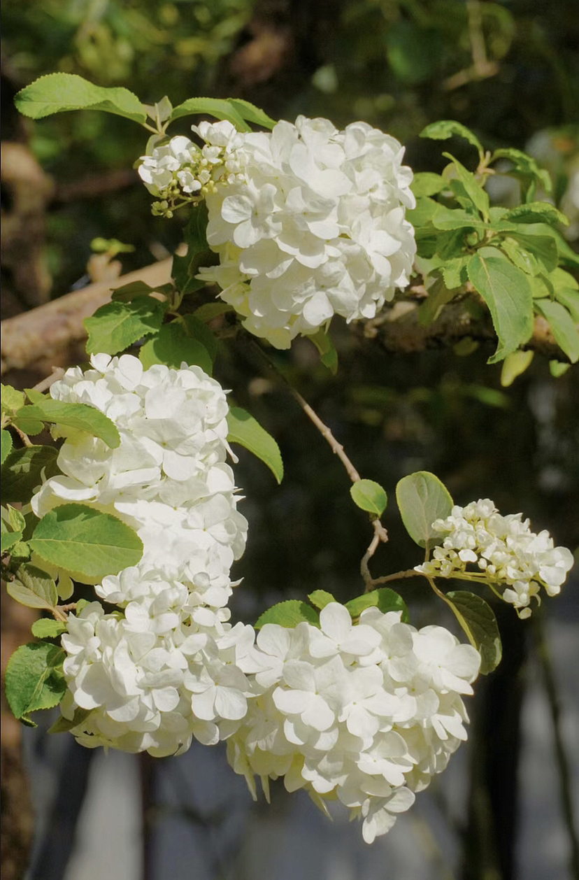 春风吹碧,春云映绿,晓梦入芳裀。