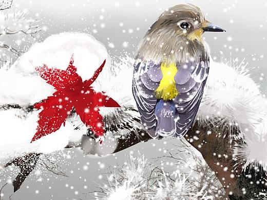雪地里的鸟儿