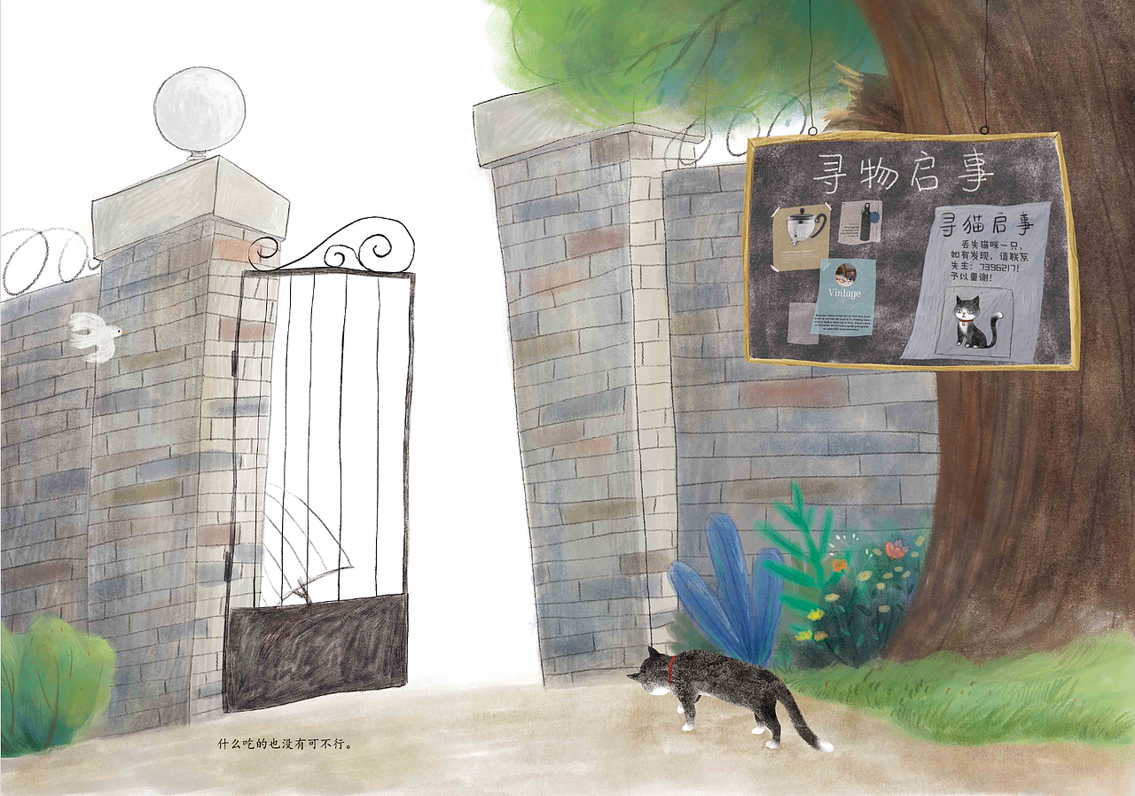 与美丽花合作的绘本《哪里比天空更高》