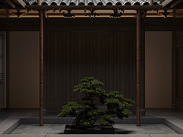 小院