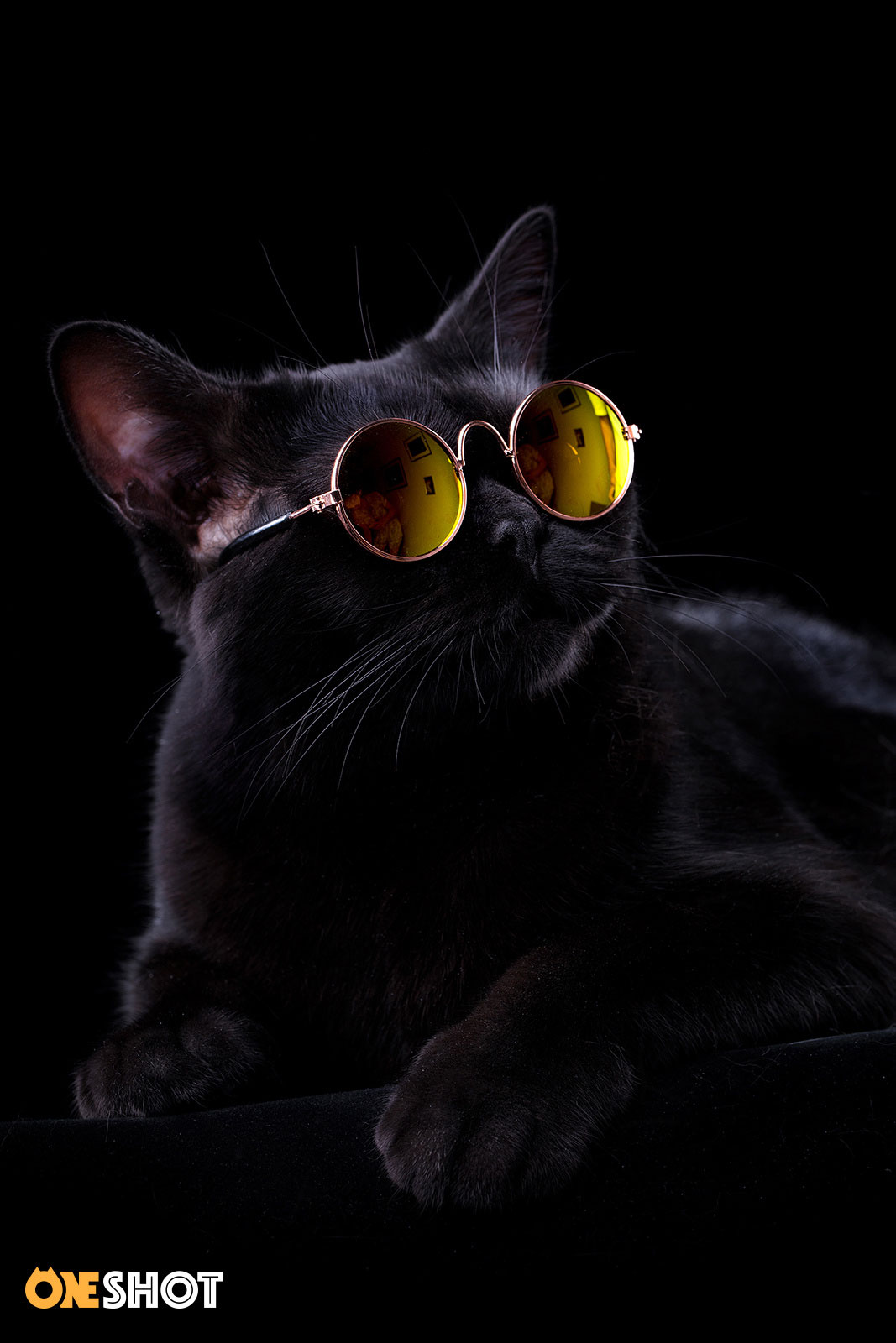 小海龍的個人主頁（背景預(yù)覽） - 主頁背景設(shè)置 - 站酷設(shè)計師小海龍原創(chuàng)素材 - 站酷ZCOOL