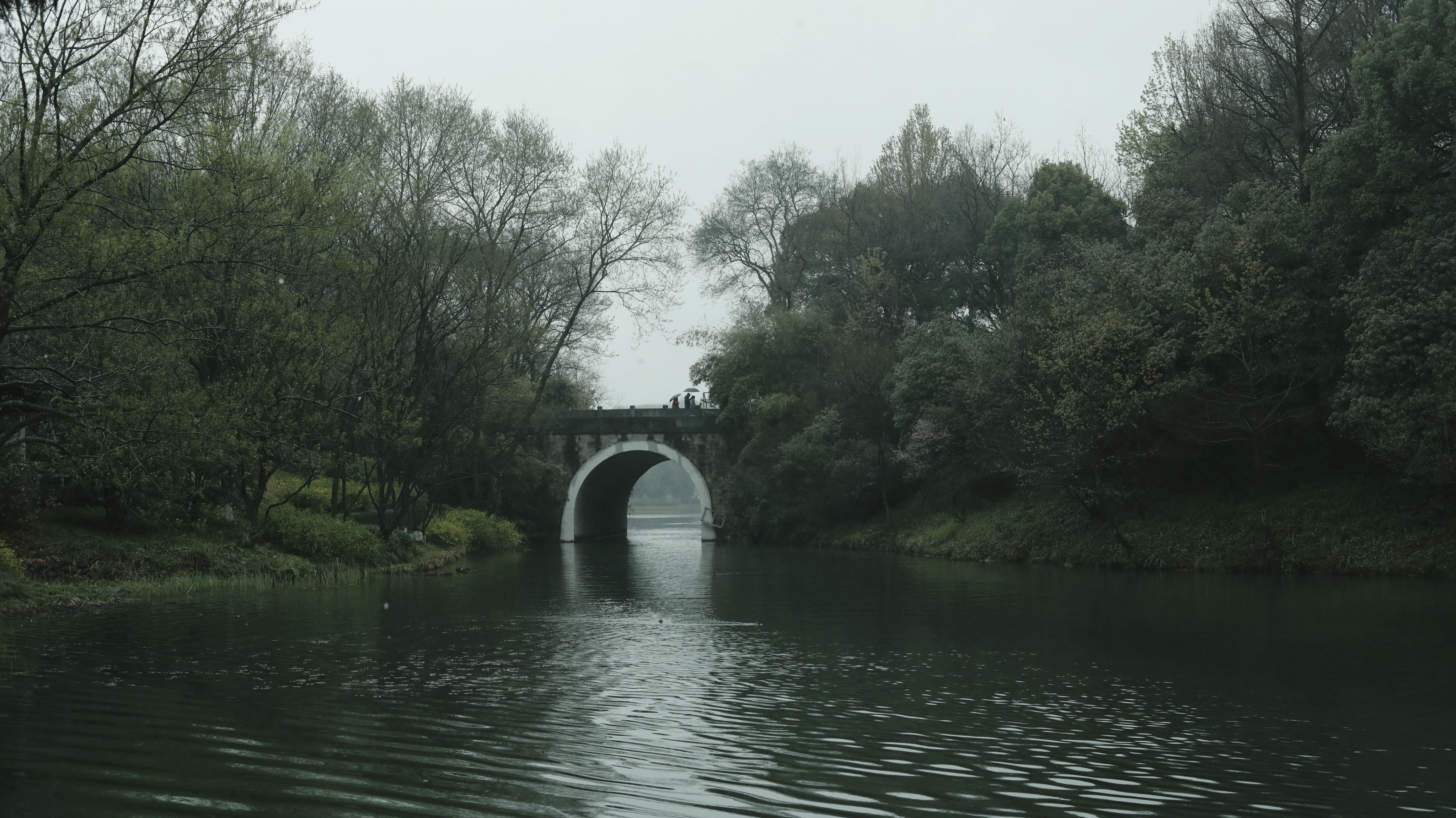 LEMONMANG的个人主页（封面预览） - 主页封面设置 - 站酷设计师LEMONMANG原创素材 - 站酷ZCOOL