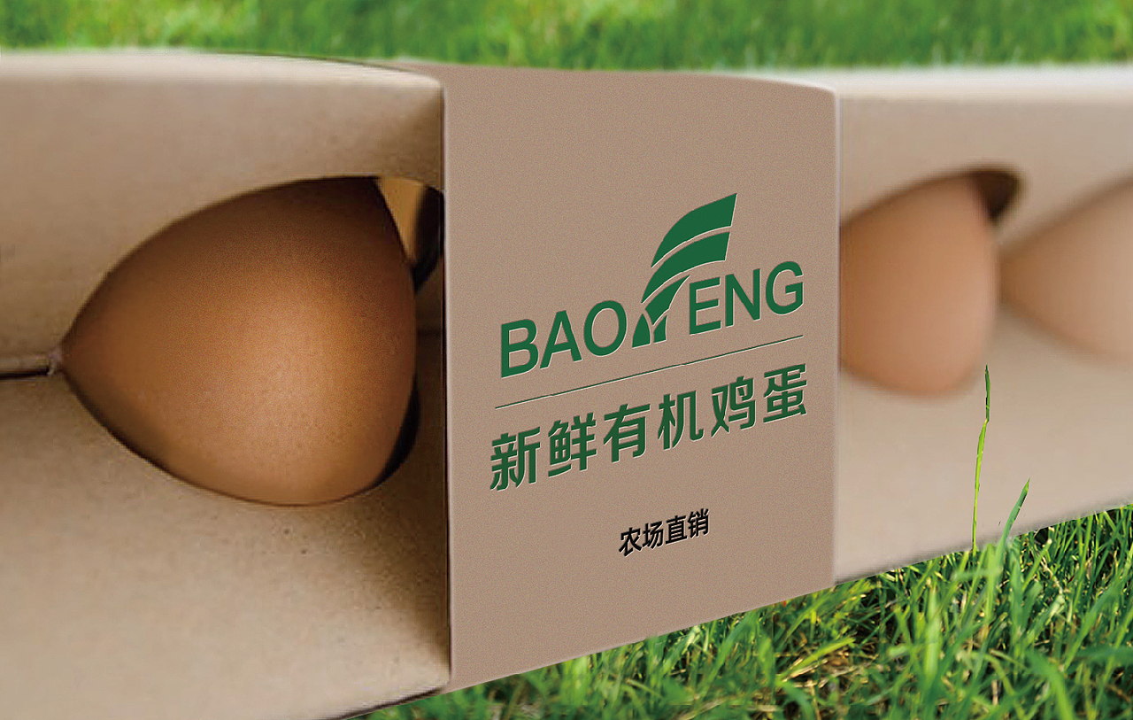 《宝峰农业品牌视觉VI设计全案》（logo+vi）（图ZMzM5OTQ1Mjg0） - 品牌 - 站酷设计师展潼云享吧原创素材 - 站酷ZCOOL